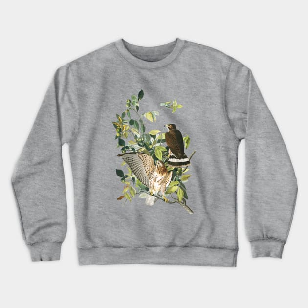 Audubon Broad-winged Hawk Crewneck Sweatshirt by Dystopianpalace